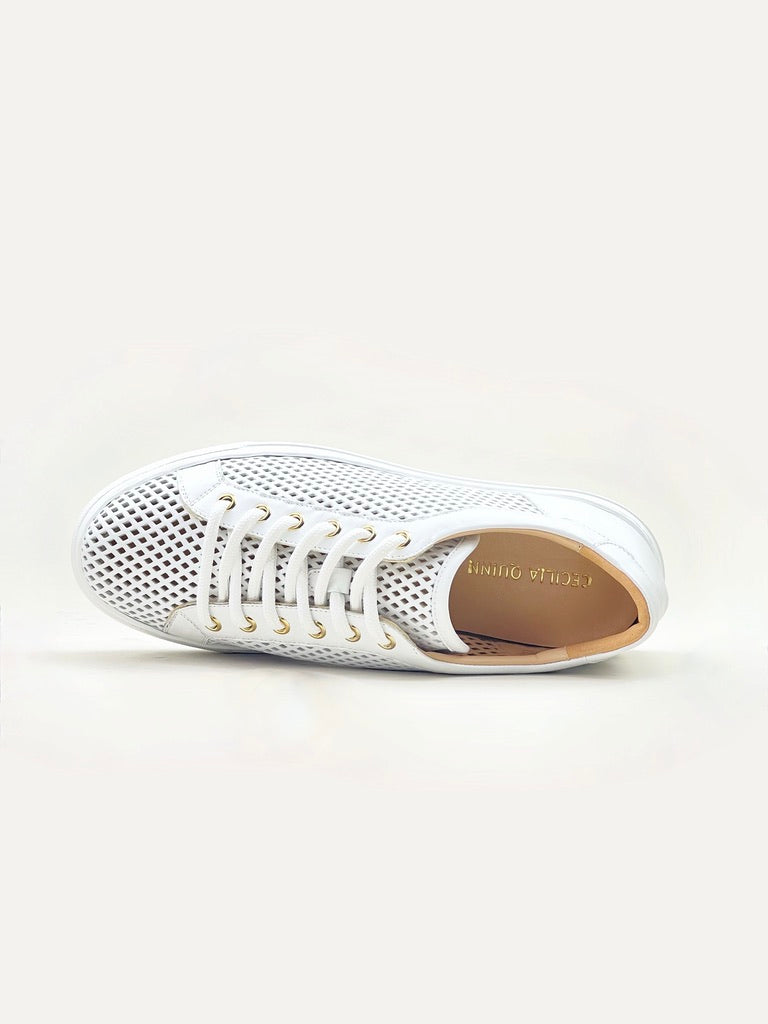 Abigail Perforated