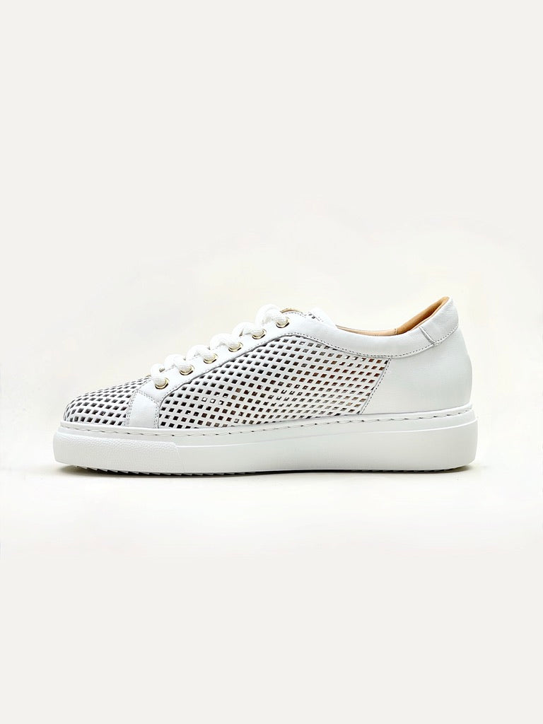 Abigail Perforated