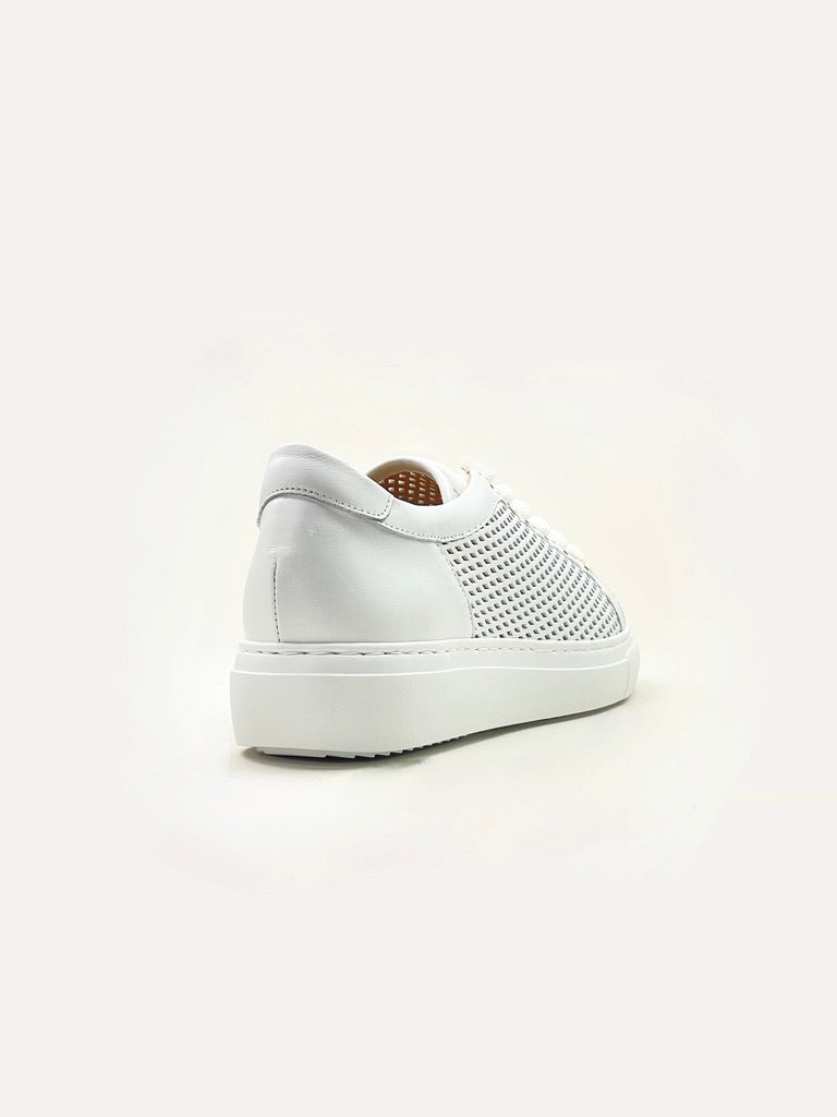 Abigail Perforated