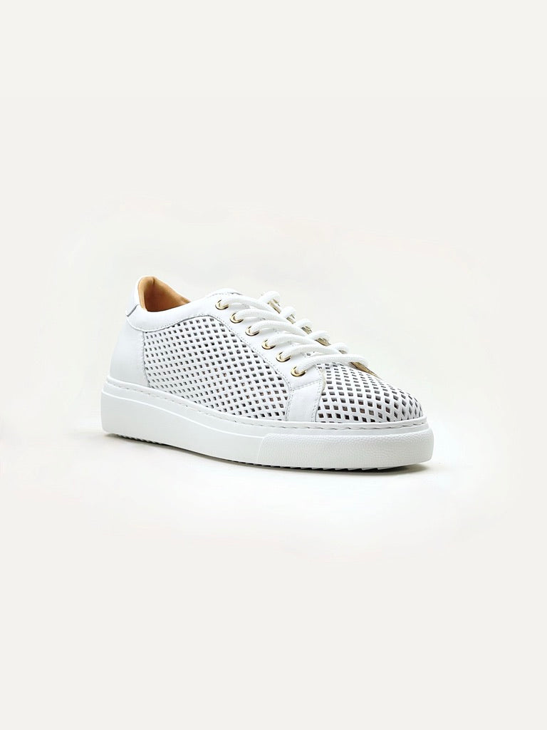 Abigail Perforated